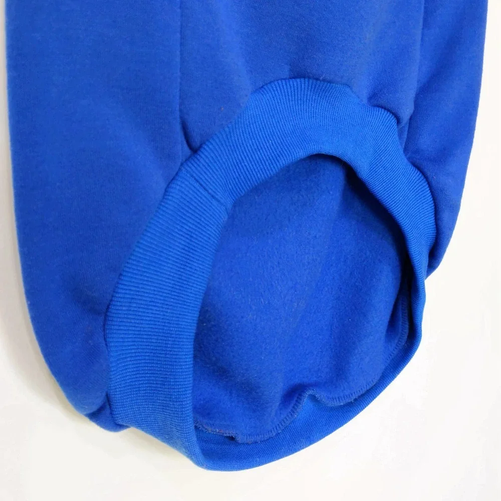 Pawlenciaga Small Dog Hoodie Pet Apparel In Blue